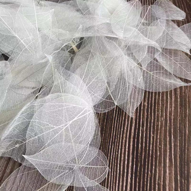 5~9CM*2~3.5CM,100PCS/Set,Real  – обзор и цена Dried Flower Pressed