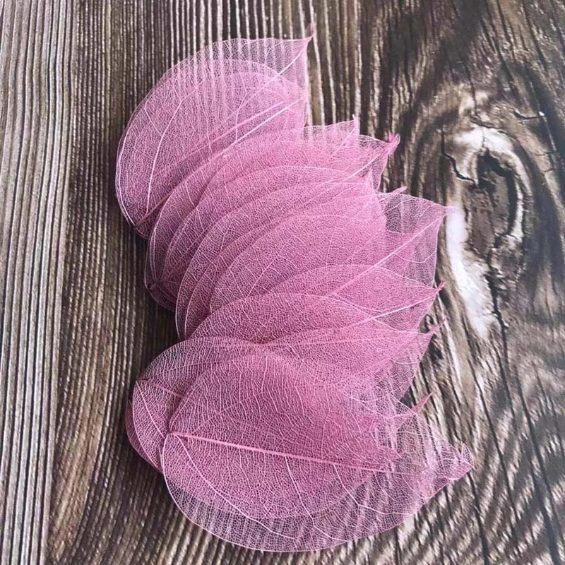 5~9CM*2~3.5CM,100PCS/Set,Real  – обзор и цена Dried Flower Pressed