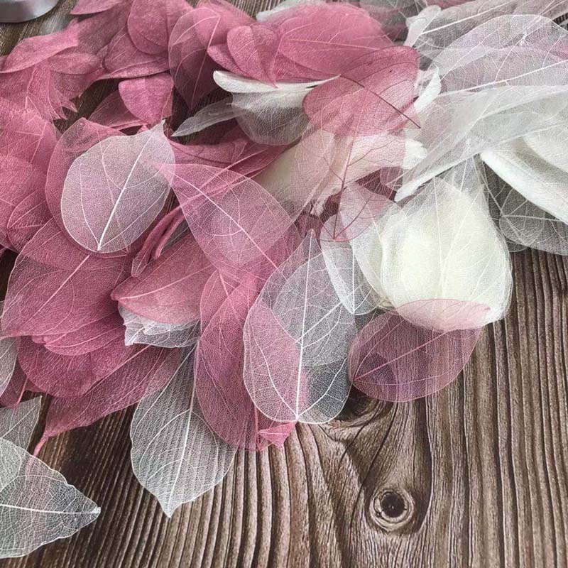 5~9CM*2~3.5CM,100PCS/Set,Real  – обзор и цена Dried Flower Pressed