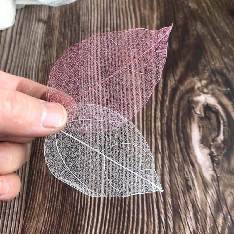 5~9CM*2~3.5CM,100PCS/Set,Real  – обзор и цена Dried Flower Pressed