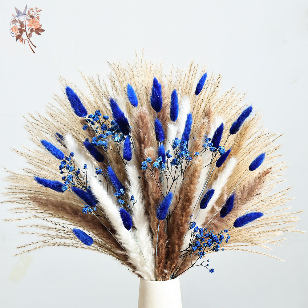 70 Stem Blue Fluffly Rabbit Ta – обзор и цена Dried Flower Pressed