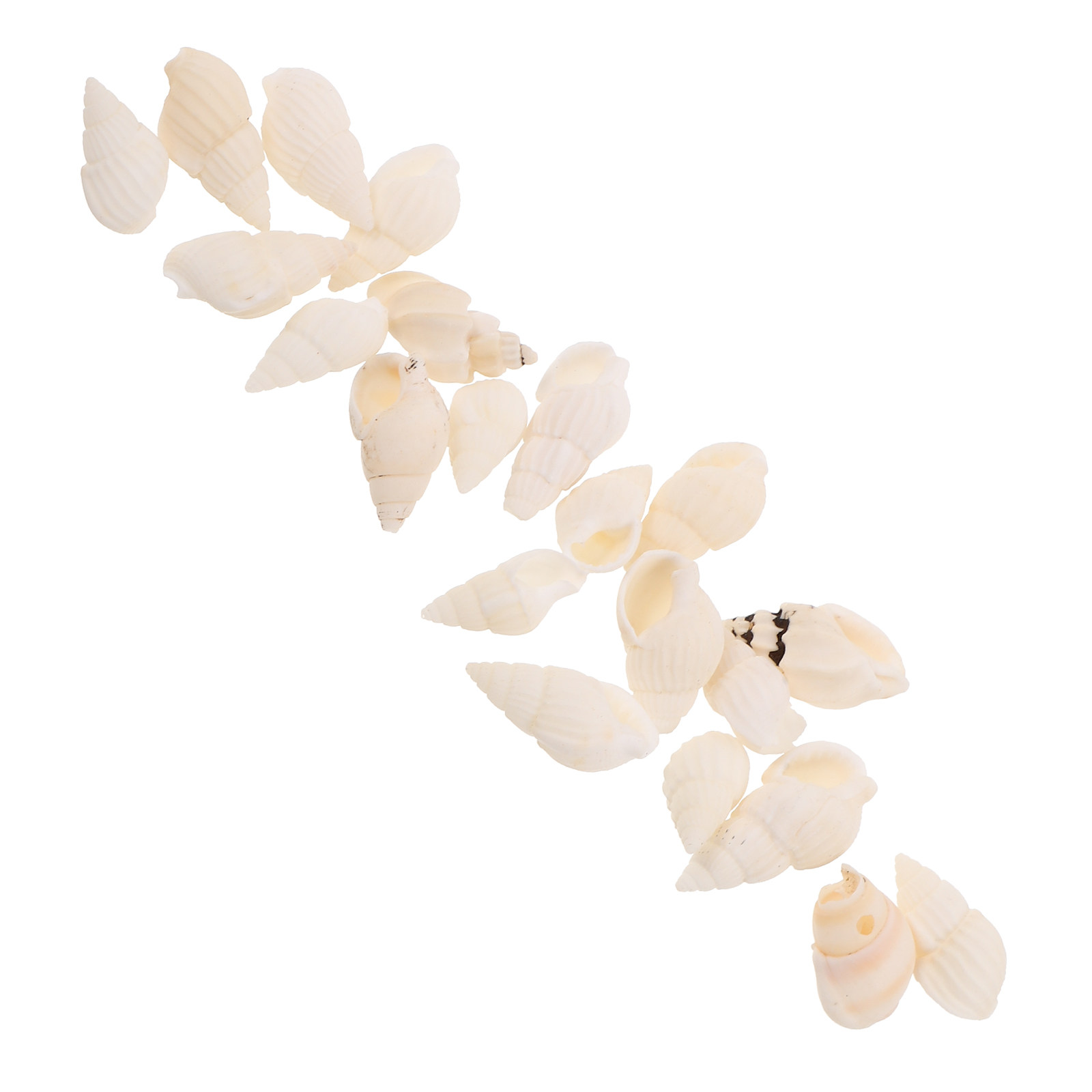 20Pcs White Spiral Seashells N – обзор и цена Resin Art Beach