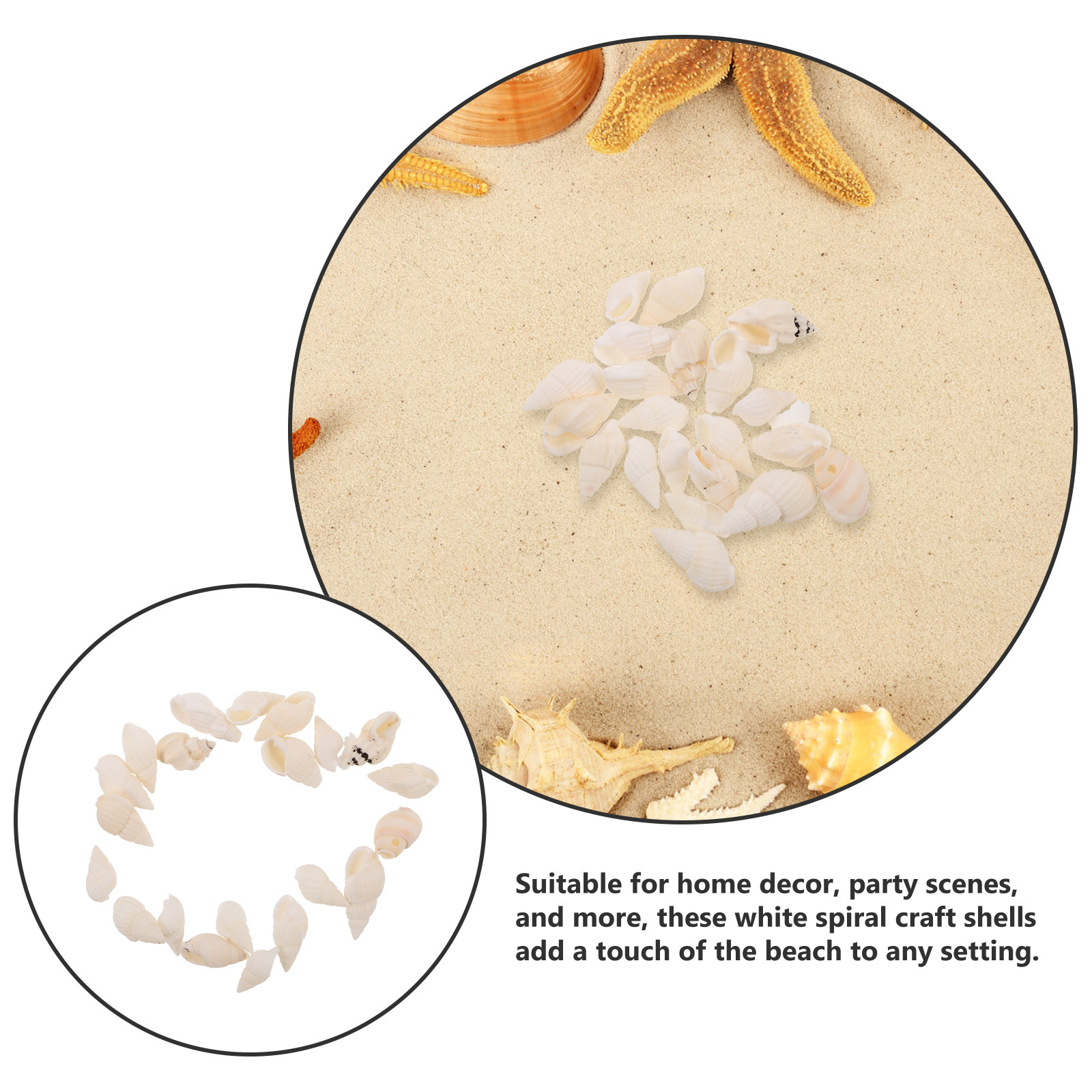 20Pcs White Spiral Seashells N – обзор и цена Resin Art Beach