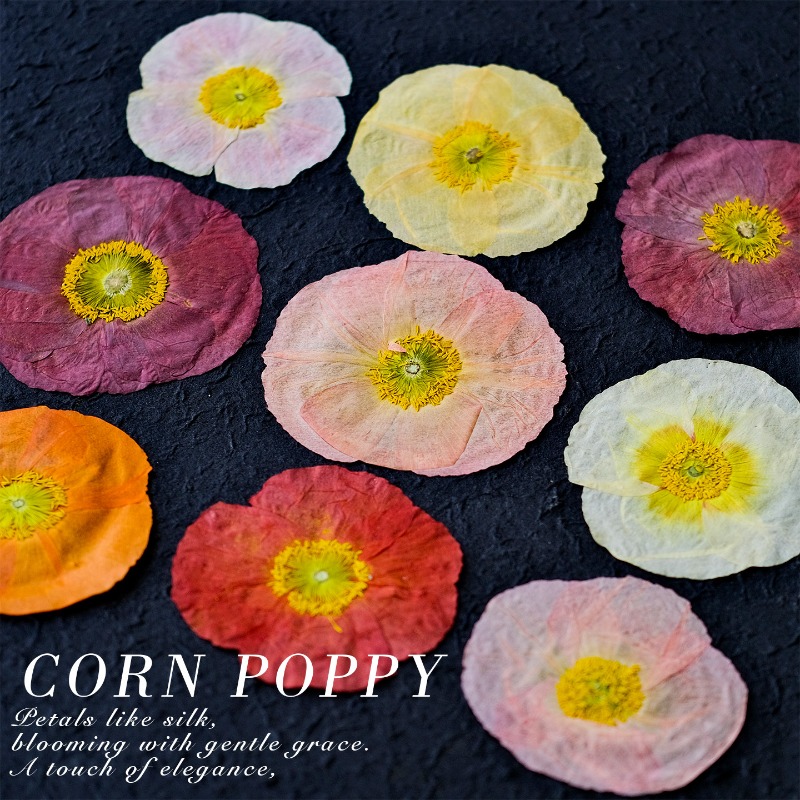 1pcs,Nature Field Poppy Presse – обзор и цена Dried Flower Pressed