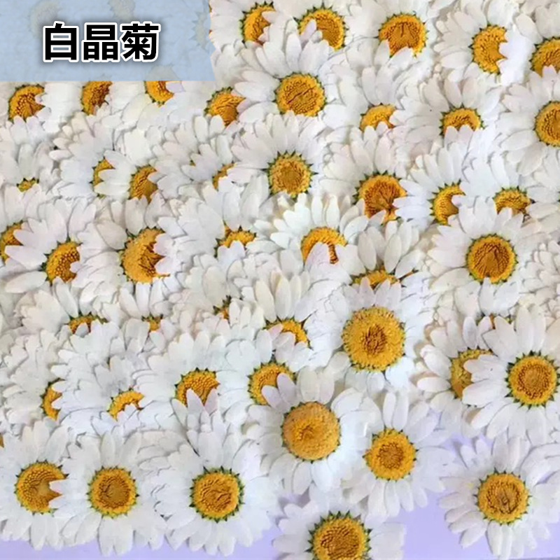 100Pcs Natural White Crystal C – обзор и цена Dried Flower Pressed