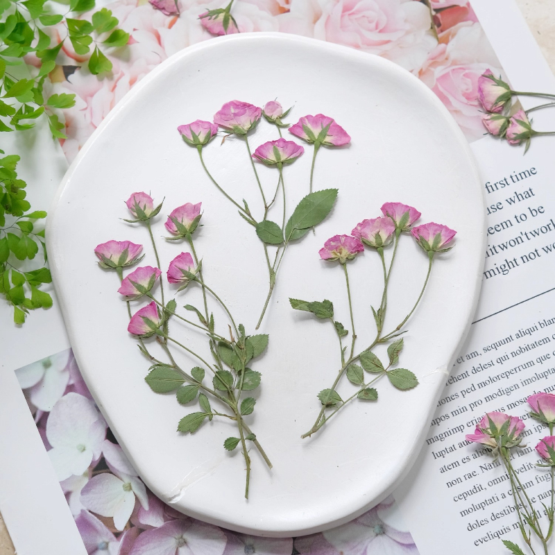 12pcs,Mini Pink Rose Pressed F – обзор и цена Dried Flower Pressed