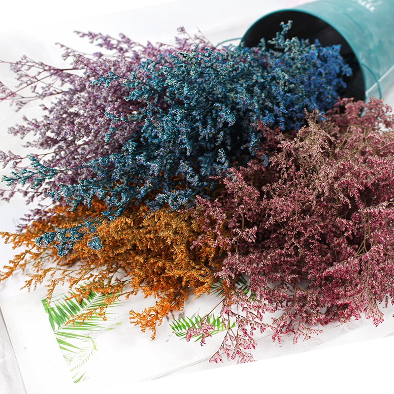 50g/Preserved Valentine's Gras – обзор и цена Dried Flower Pressed
