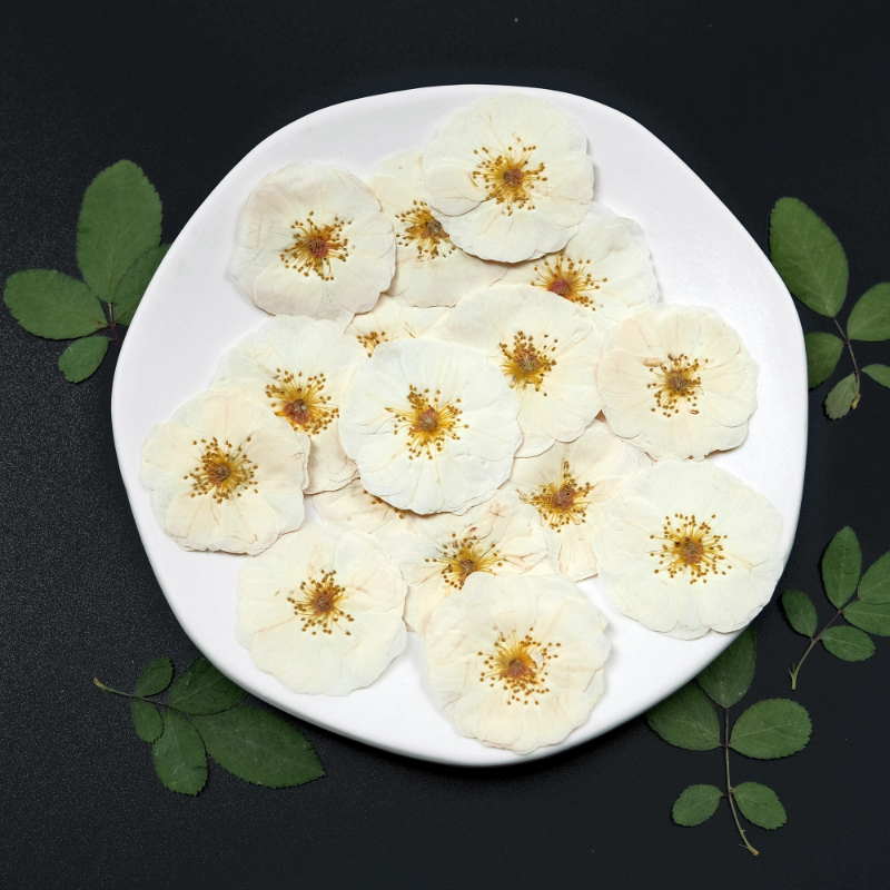 6pcs,9pcs,Nature White Rose Pr – обзор и цена Dried Flower Pressed