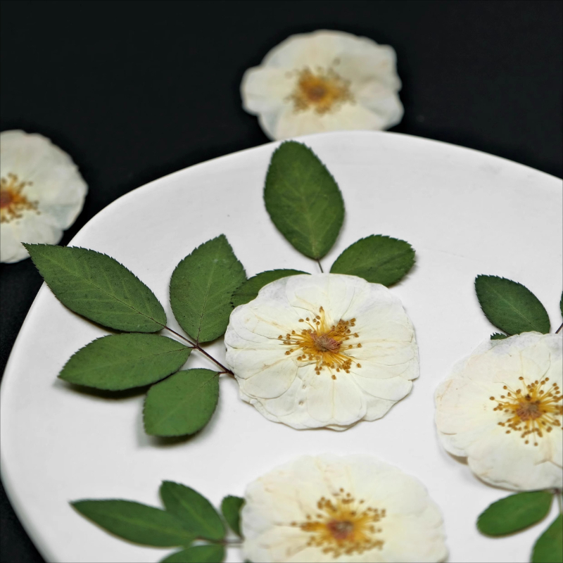 6pcs,9pcs,Nature White Rose Pr – обзор и цена Dried Flower Pressed