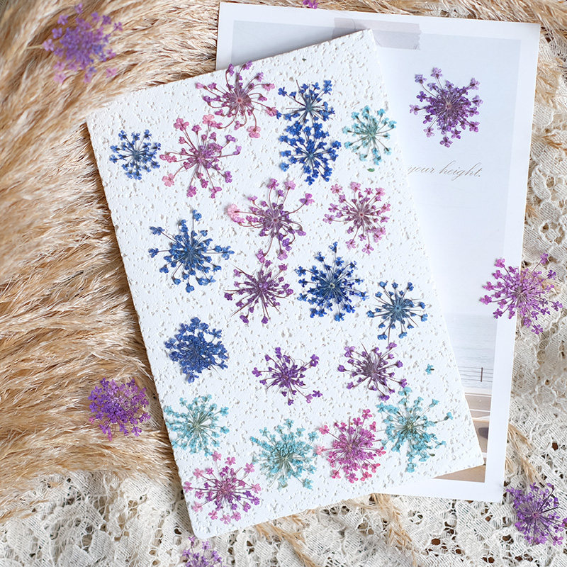 24pcs,2-2.5cm,nature Dyed Mini – обзор и цена Dried Flower Pressed
