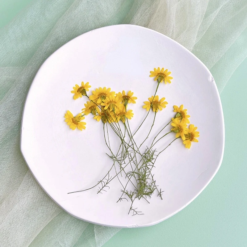 6-10cm/24pcs,nature pressed Ch – обзор и цена Dried Flower Pressed
