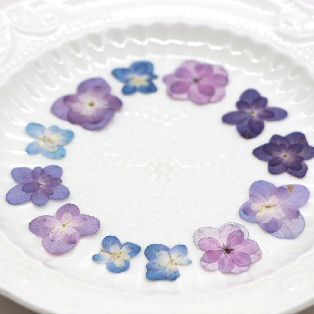 60Pcs Mini Double-Flowered Hyd – обзор и цена Dried Flower Pressed