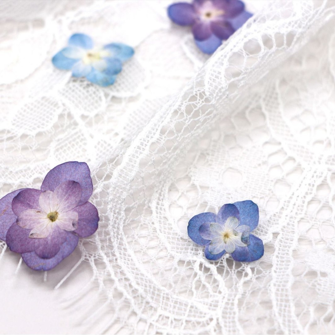 60Pcs Mini Double-Flowered Hyd – обзор и цена Dried Flower Pressed