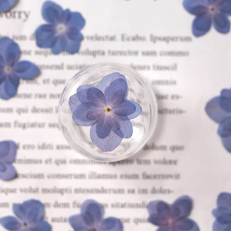 12pcs,natural Double petal Hyd – обзор и цена Dried Flower Pressed