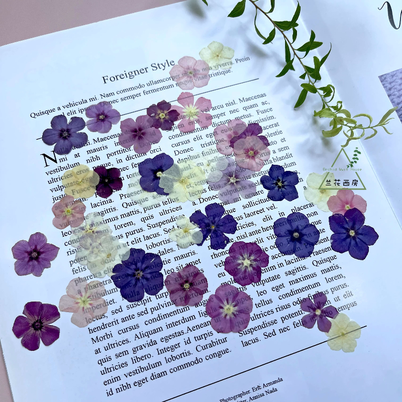 12pcs,Semi-Transparent Niche P – обзор и цена Dried Flower Pressed