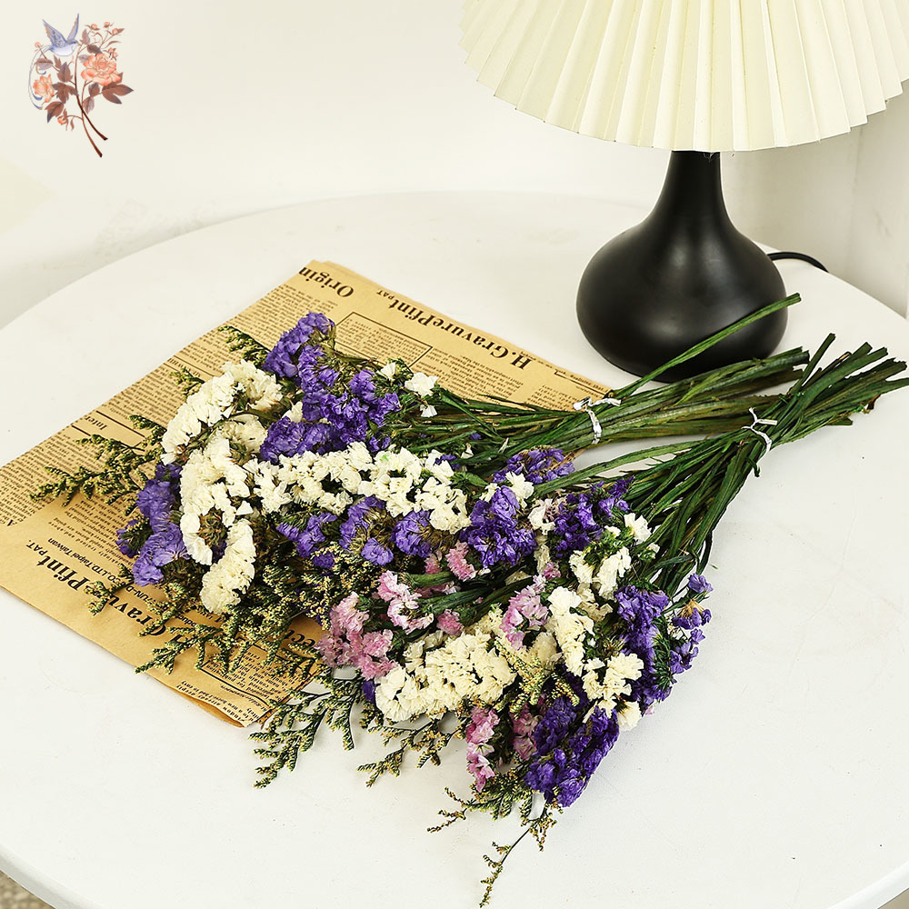 100g Natural Real Forget-me-no – обзор и цена Dried Flower Pressed
