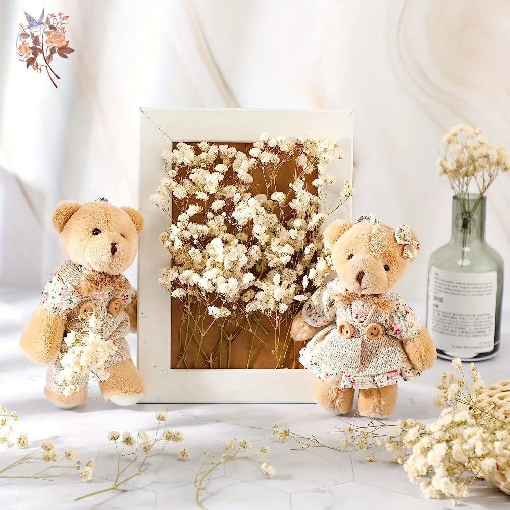 100pcs Mini Dried Baby's Breat – обзор и цена Dried Flower Pressed